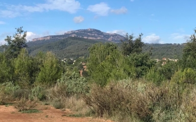 El Rodal és un dels espais verds que té Sabadell | Arxiu